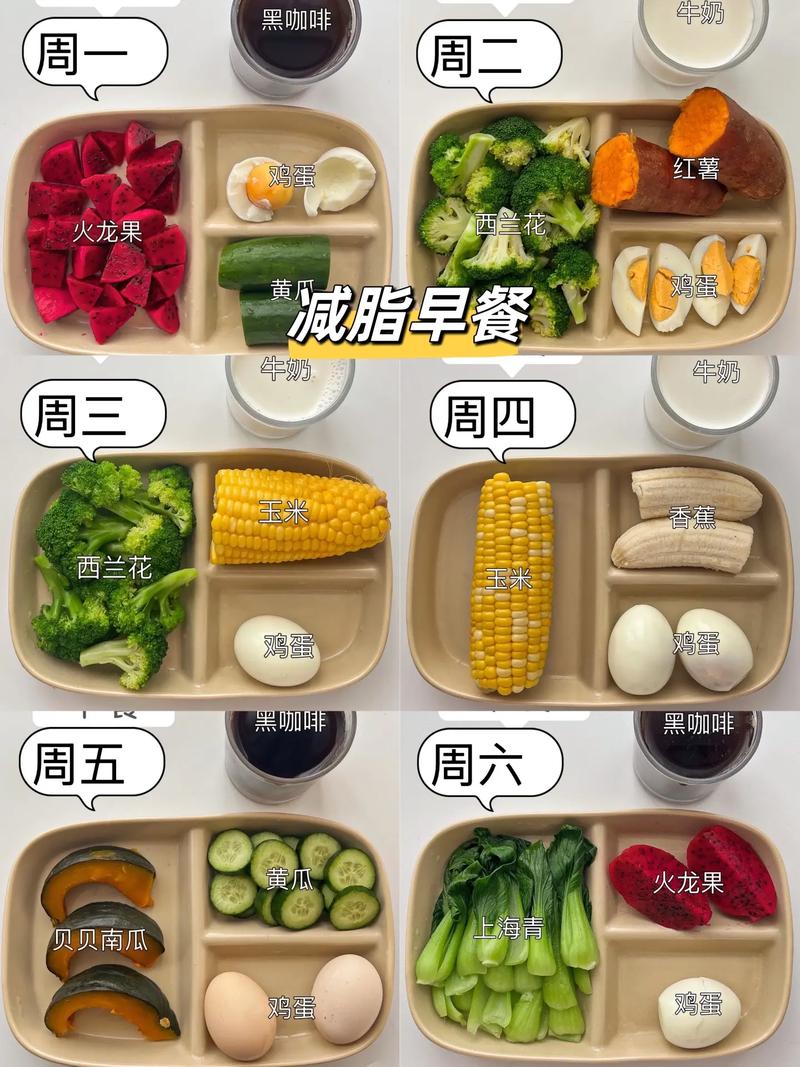 减肥不知道吃什么