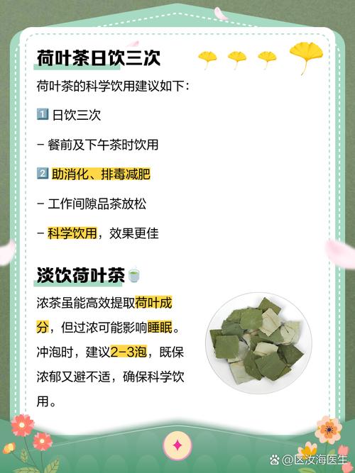 荷叶与什么一起喝减肥吗