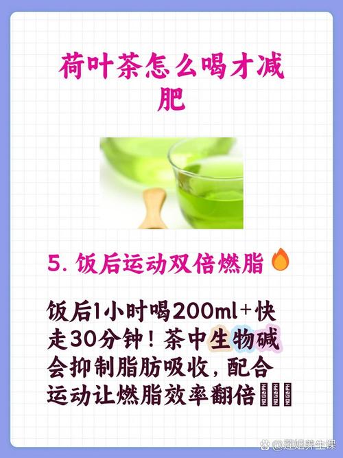 荷叶与什么一起喝减肥吗
