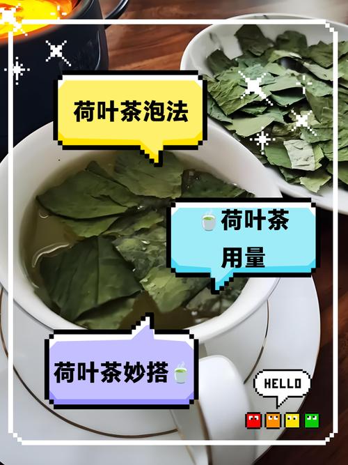 荷叶与什么一起喝减肥