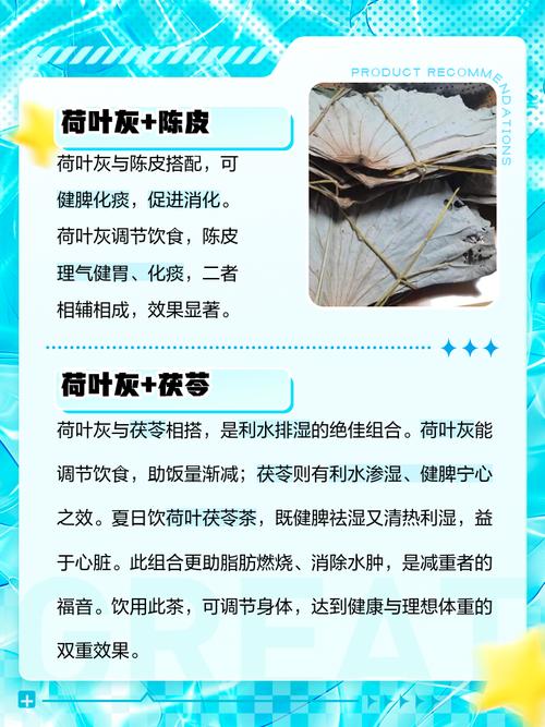 荷叶与什么一起喝减肥