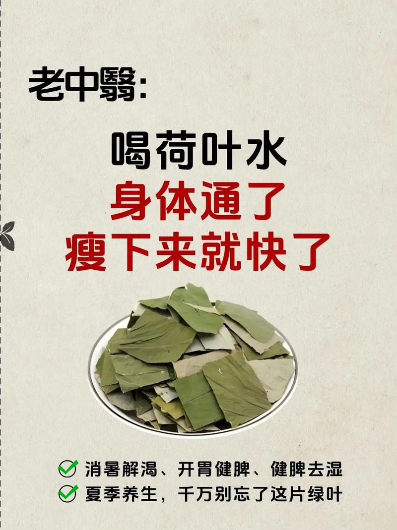 荷叶陪什么减肥