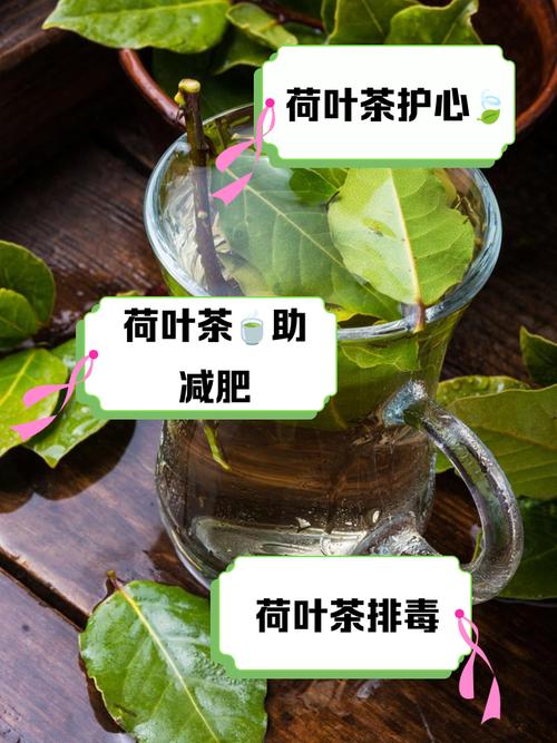 荷叶和什么泡水喝减肥吗