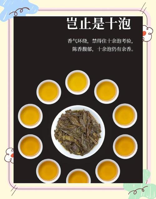 喝什么普洱茶减肥