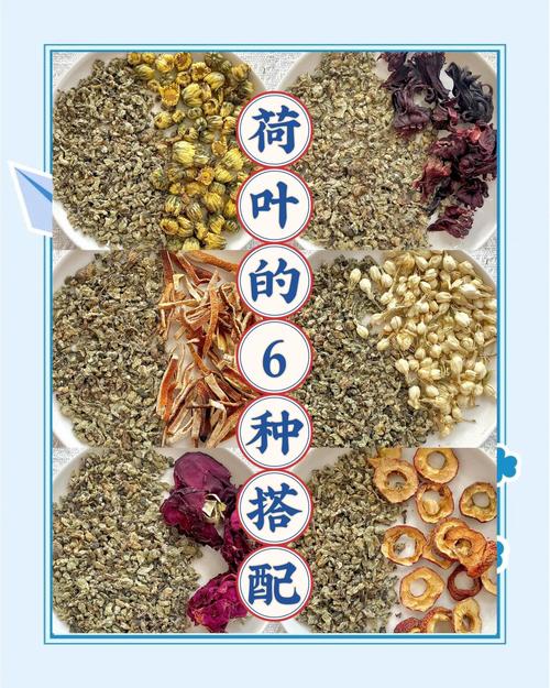 干荷叶跟什么喝才减肥