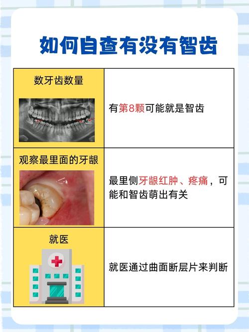 智齿又叫什么
