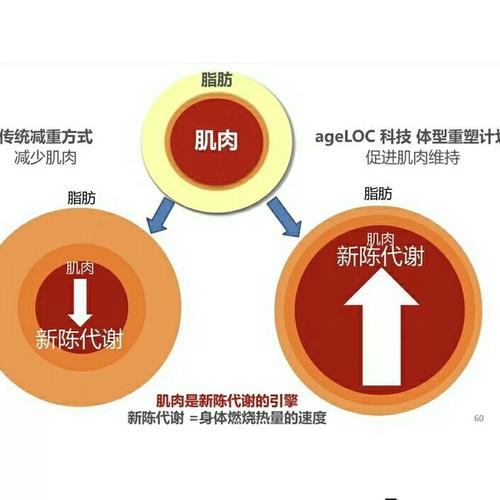 超声减肥原理是什么意思
