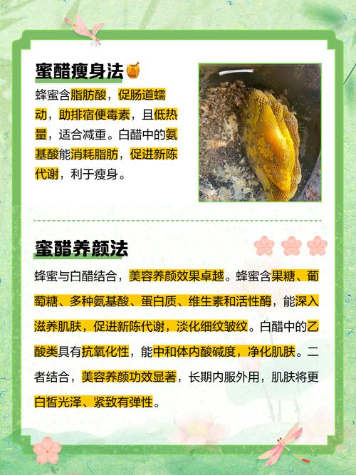 用什么蜂蜜和白醋减肥