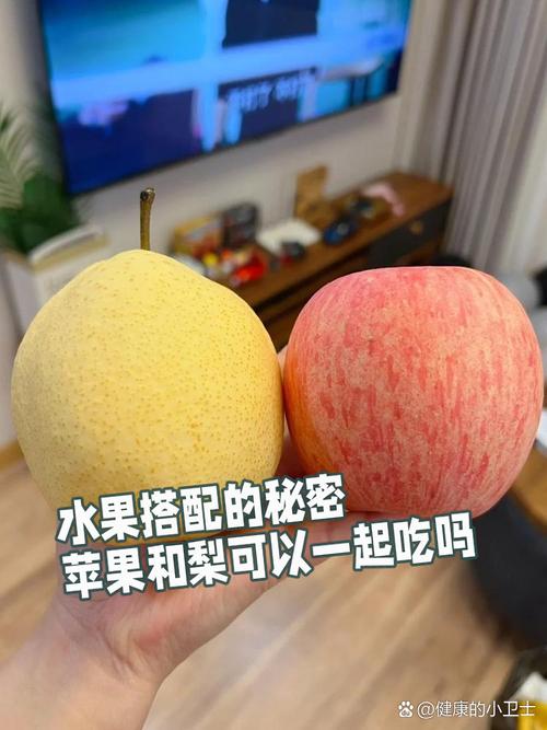 梨什么人