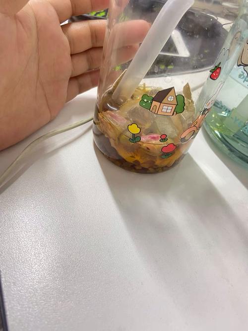 女性用什么泡水喝减肥