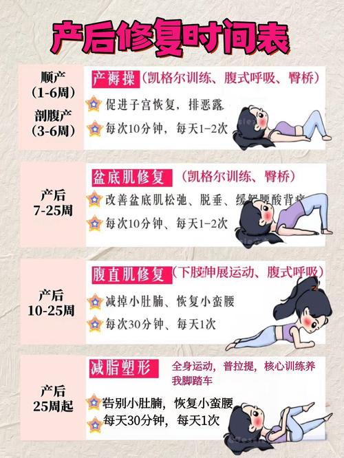 产后减肥操什么时候做