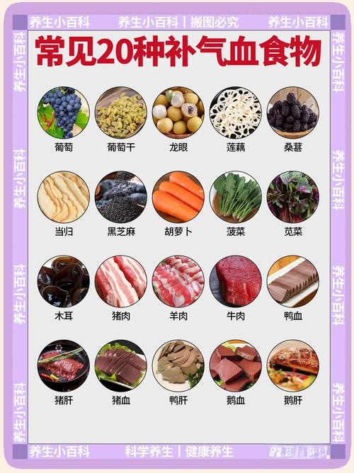 什么是补气血的食物