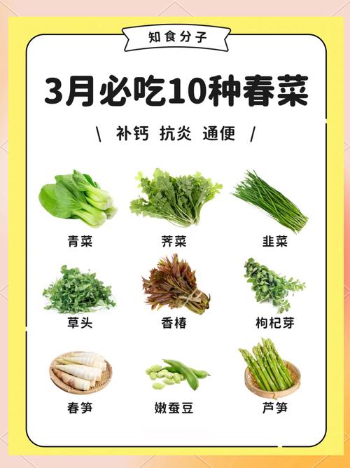 春天什么蔬菜减肥最快