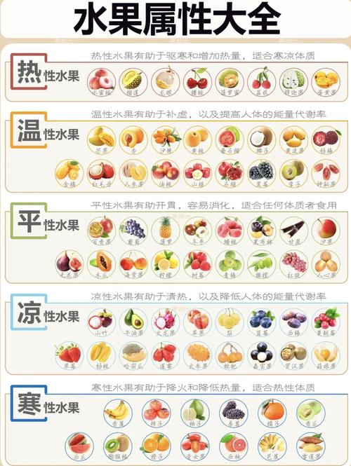 寒性体质吃什么食物