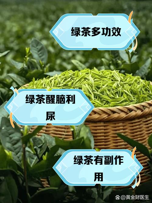 什么绿茶减肥效果好