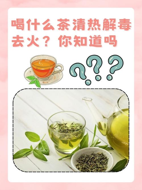 秋季上火喝什么茶