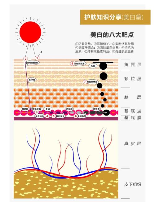 美白针什么原理