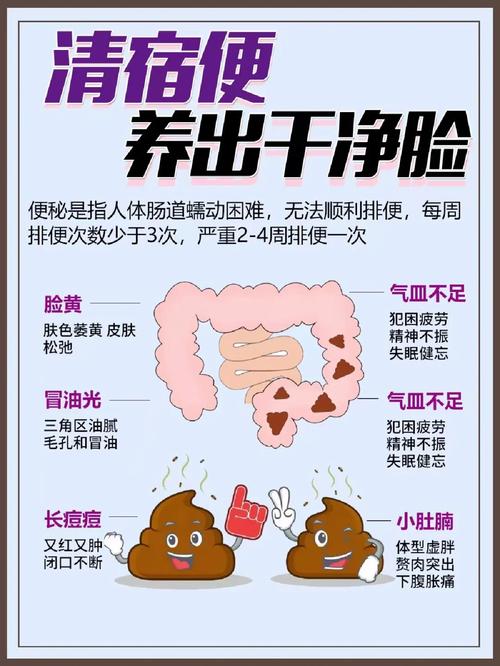 什么清宿便