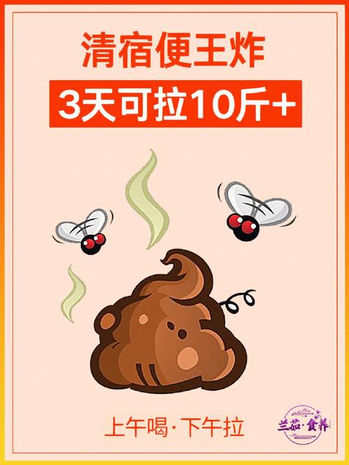 什么清宿便