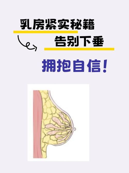 乳房下垂是什么
