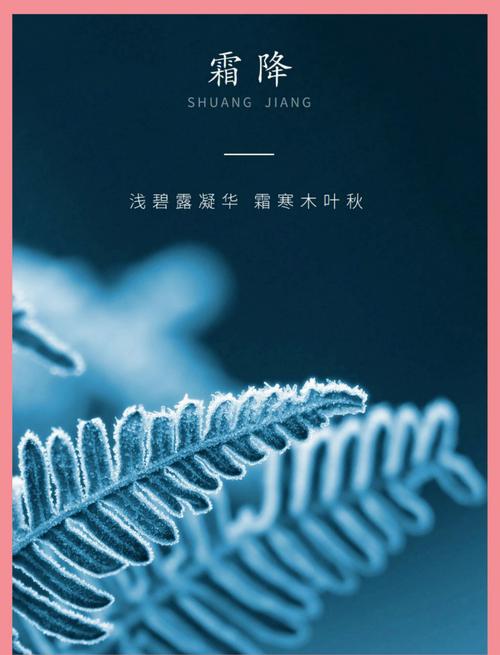 霜什么季节