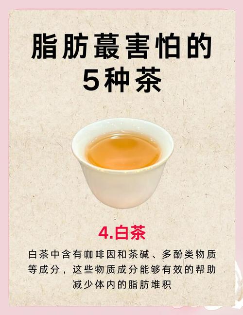 什么茶叶去脂减肥