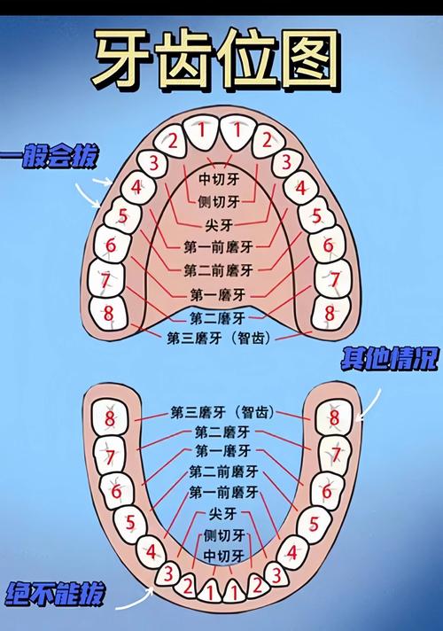 整牙为什么要拔牙