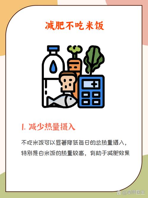 减肥不吃米饭可以用什么代替