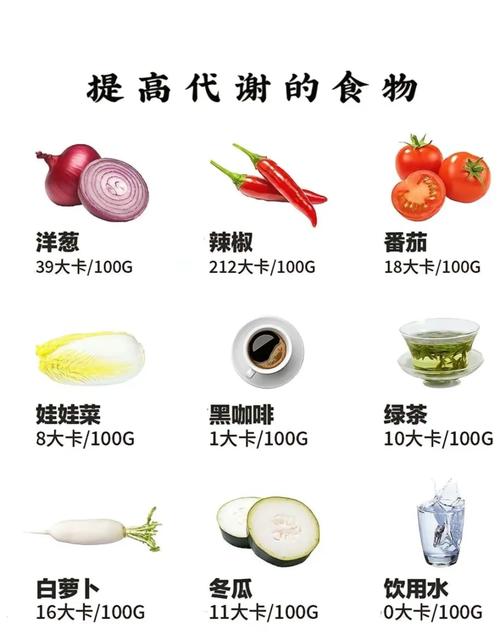 晚上应该吃点什么主食减肥