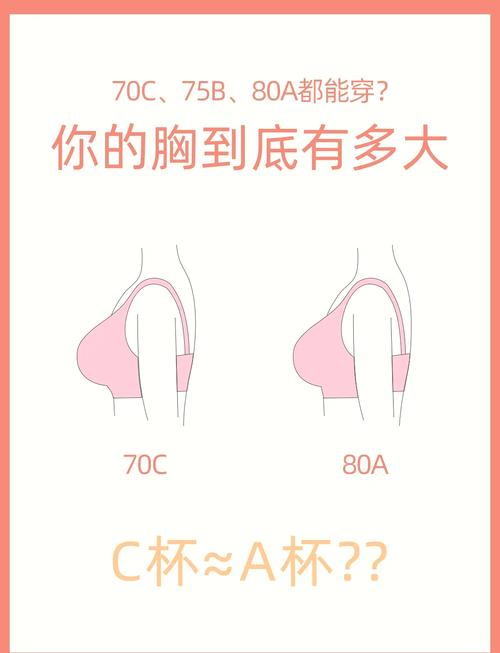 胸围80是什么罩杯