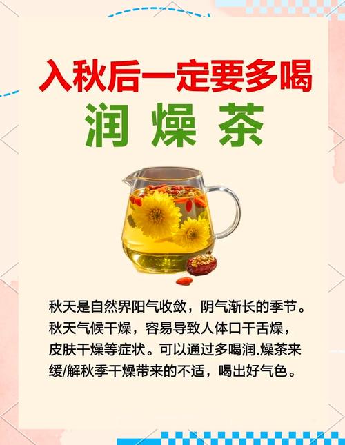 秋季干燥喝什么茶