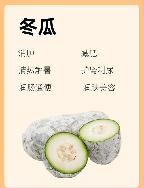 冬瓜和什么可以减肥