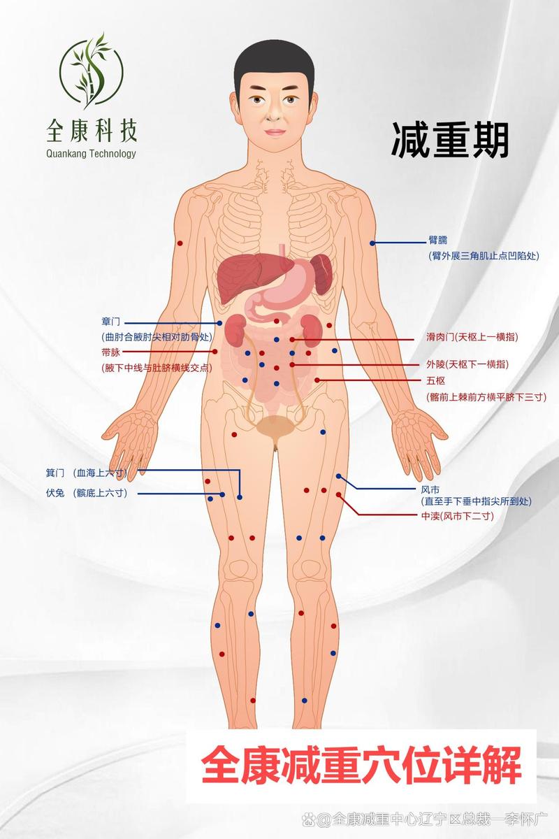 经络减肥的原理是什么