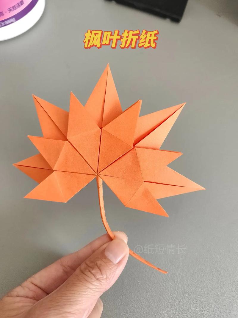 折什么好看