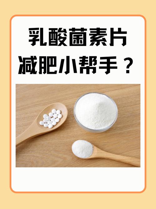 什么乳酸菌有助于减肥