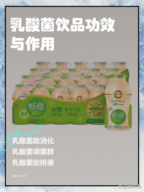 什么乳酸菌有助于减肥
