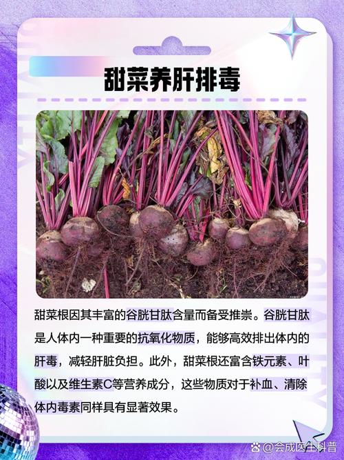 肝吃什么排毒效果好