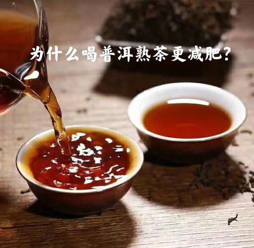 普洱为什么能减肥