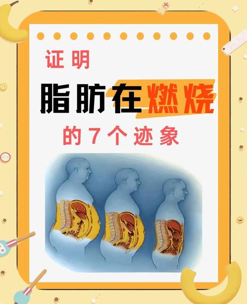 燃烧脂肪是什么意思