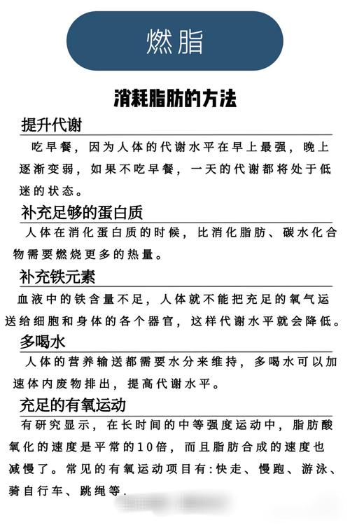 燃烧脂肪是什么意思