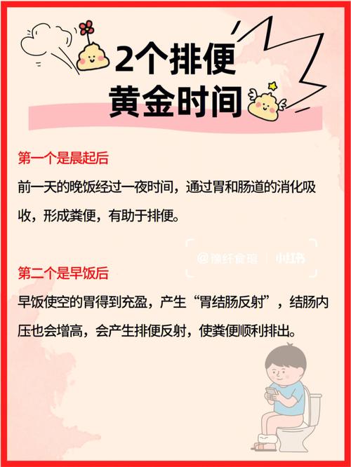 喝什么可以排宿便