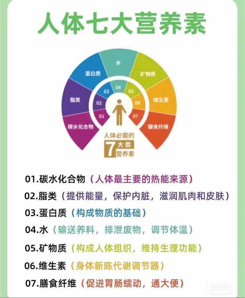 减肥早餐吃点什么好处