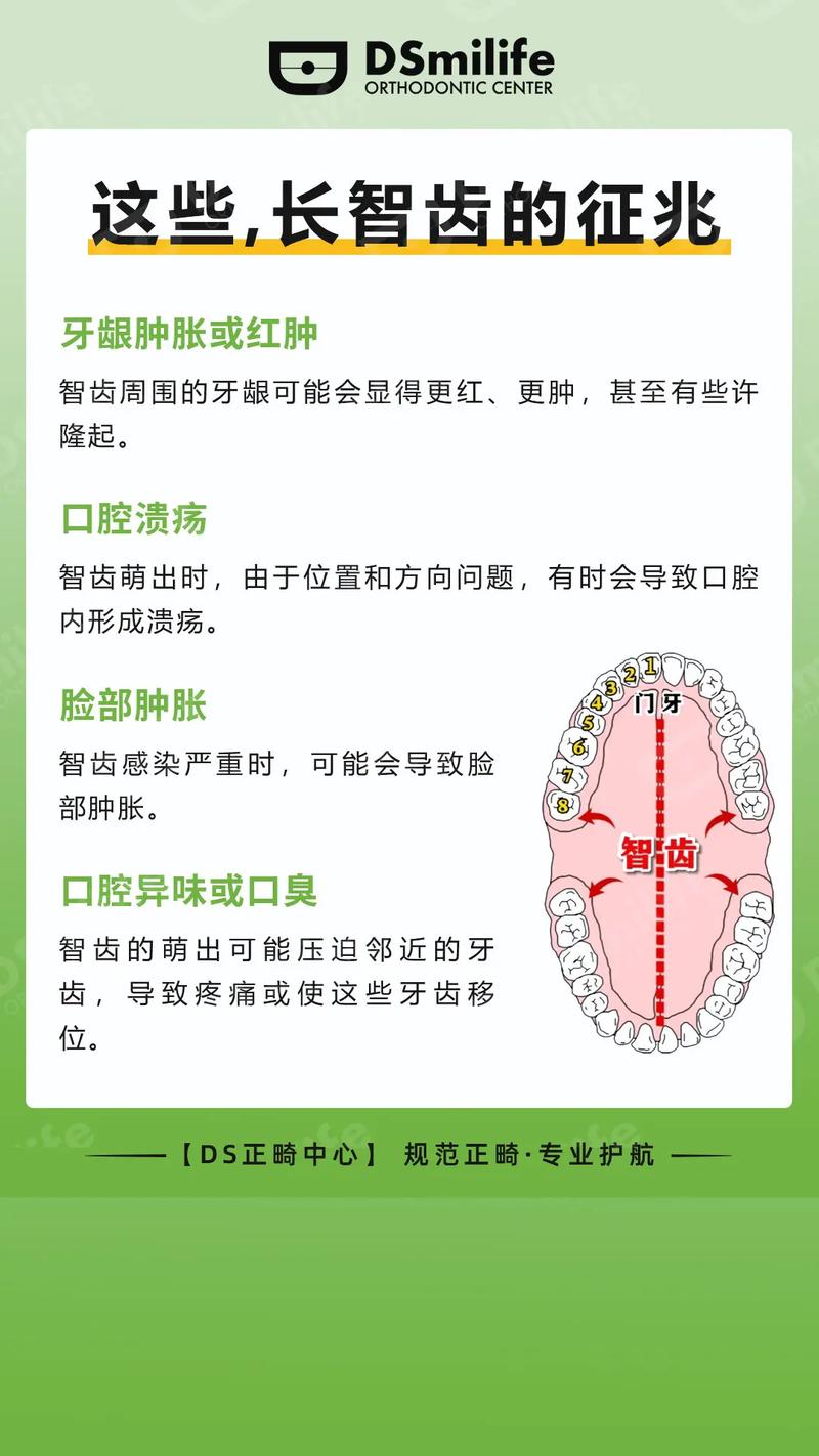 什么时候开始长智齿