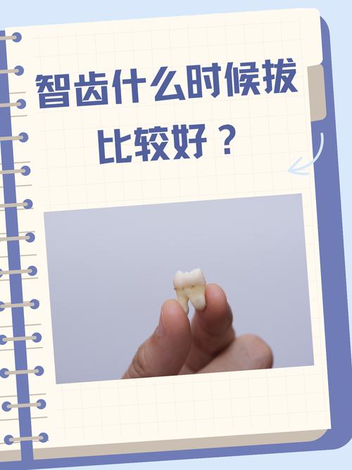 什么时候开始长智齿