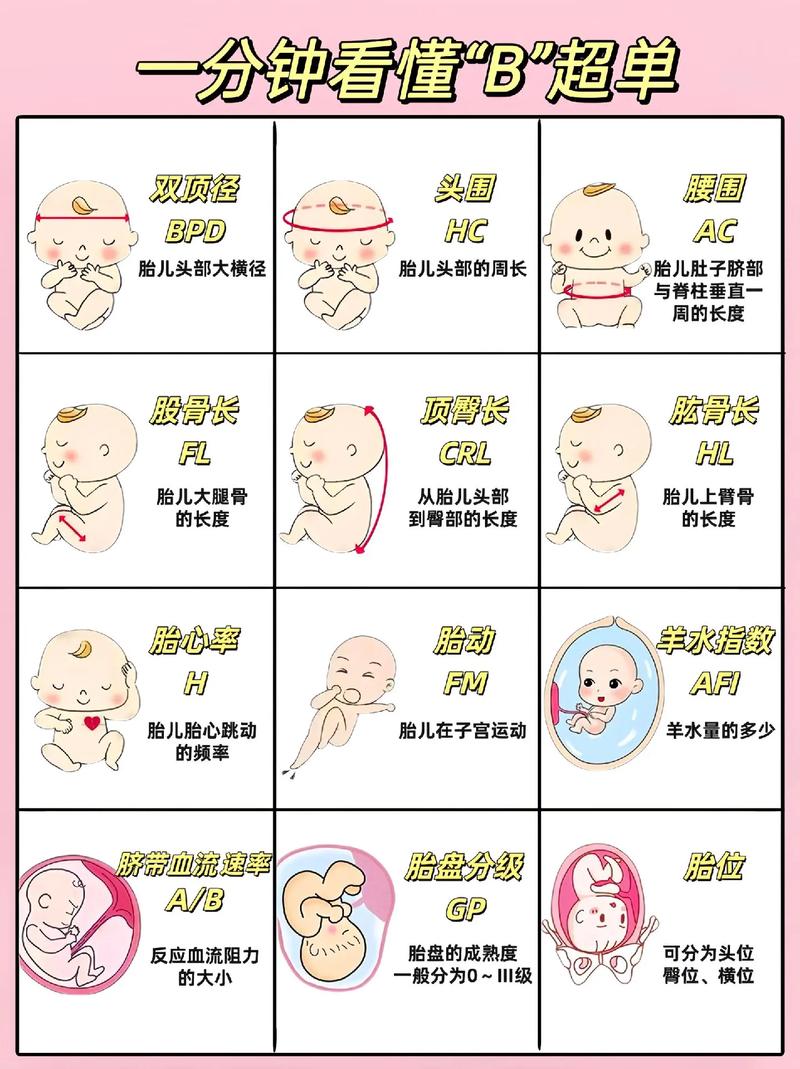 什么样的B最好