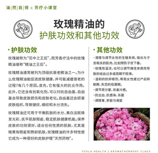 玫瑰精油有什么功效
