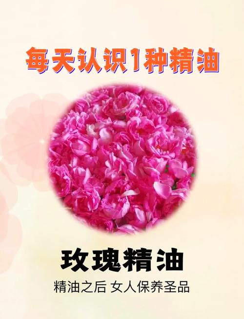 玫瑰精油有什么功效