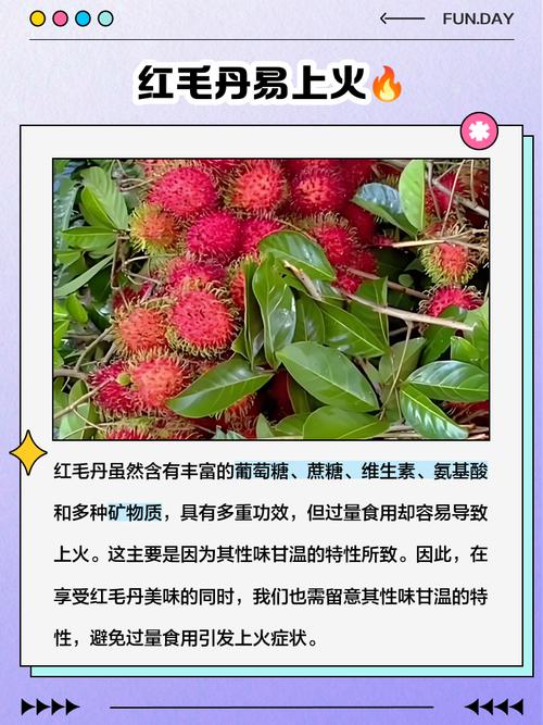 什么水果是上火的