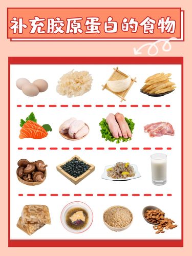 什么食物补胶原蛋白