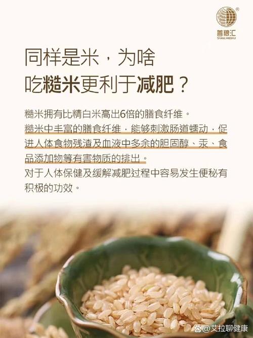 减肥米都有什么影响吗